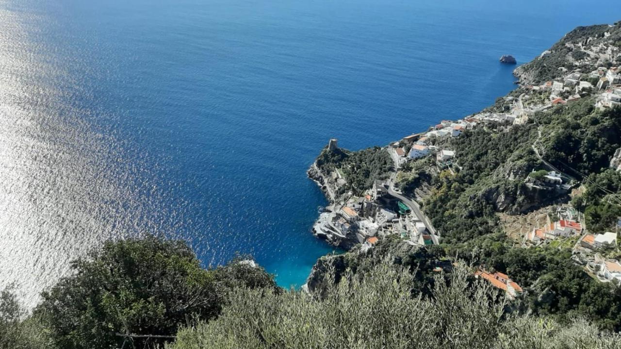 Tenuta La Picola 弗洛里 外观 照片