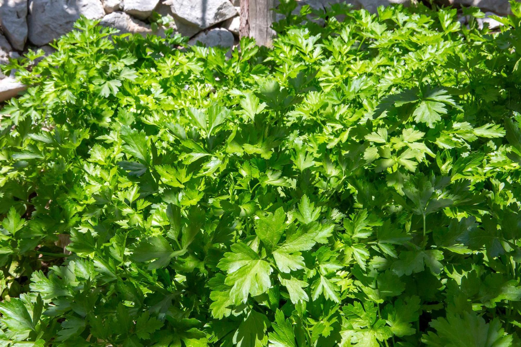 Tenuta La Picola 弗洛里 外观 照片