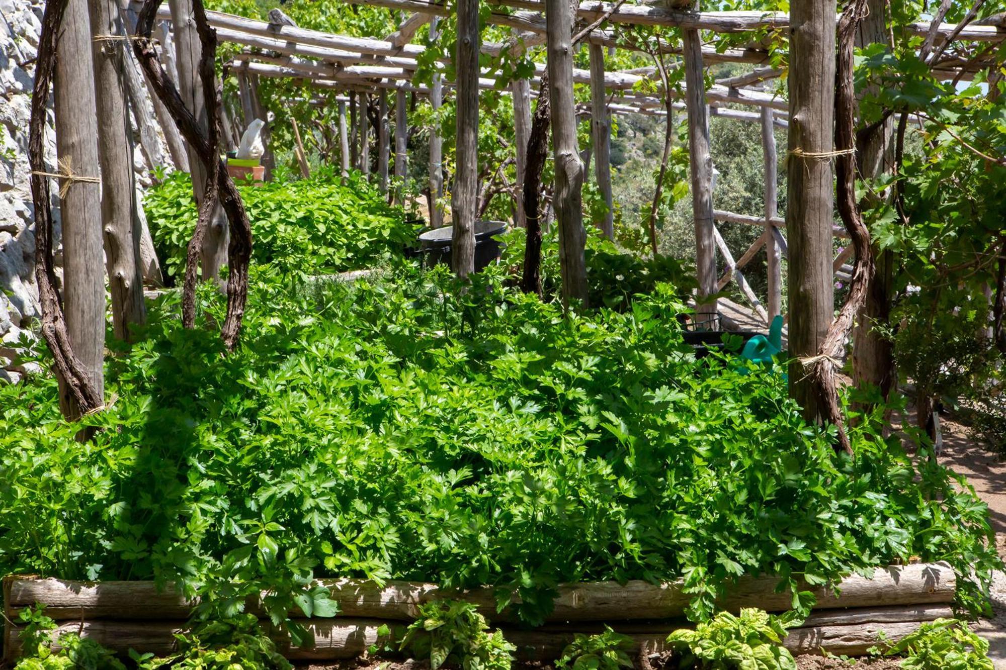 Tenuta La Picola 弗洛里 外观 照片